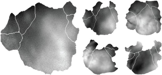 FIGURE 2
