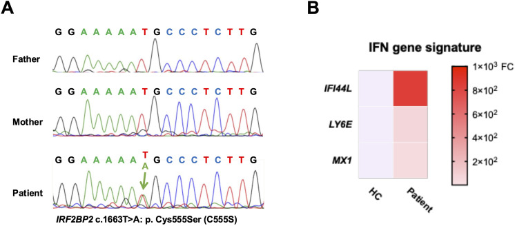 Figure 1