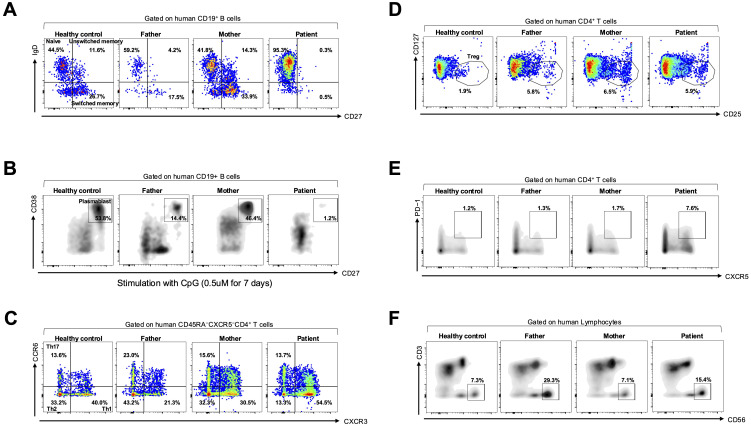 Figure 2