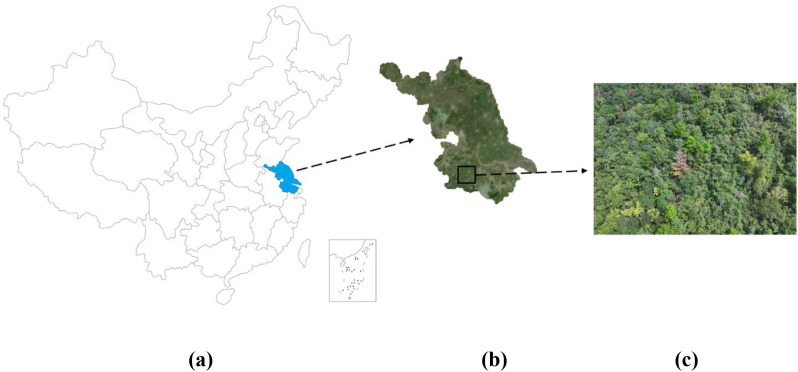 Figure 1