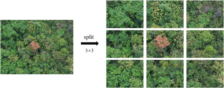Figure 3