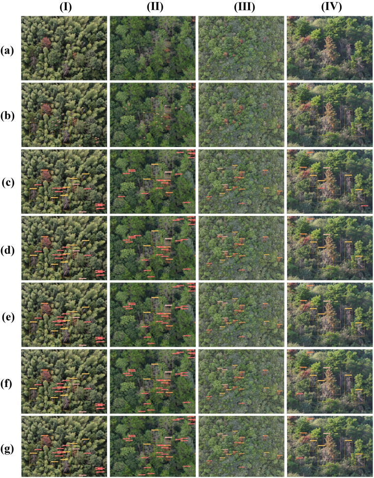 Figure 13