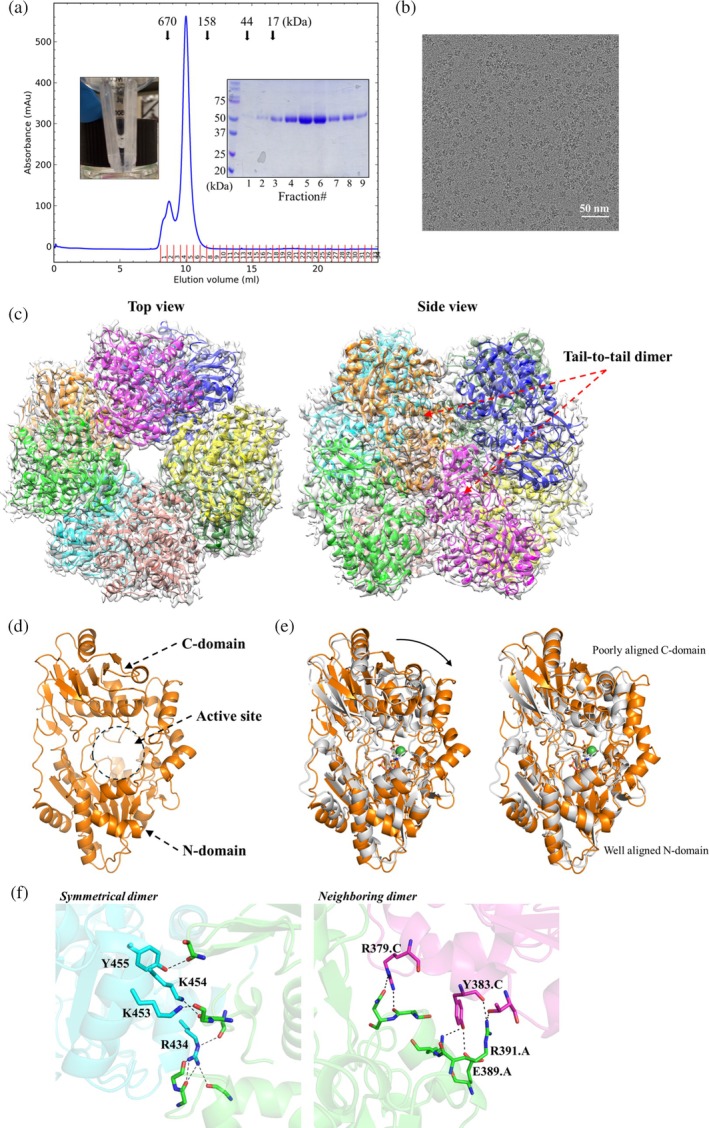 FIGURE 2