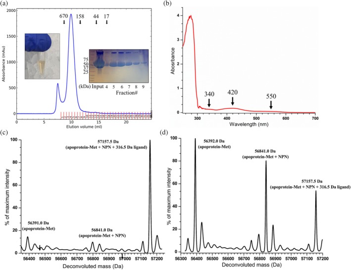 FIGURE 3
