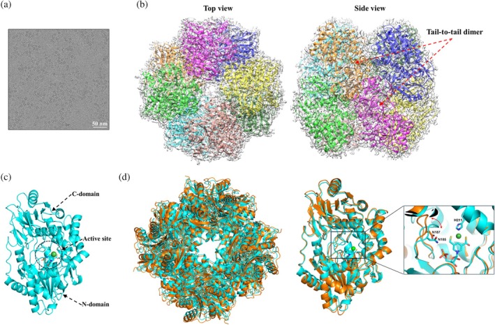 FIGURE 4