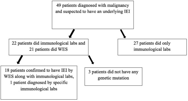 Figure 1