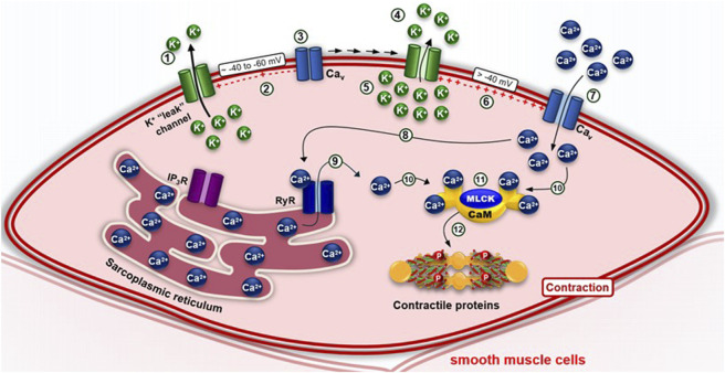 FIGURE 3