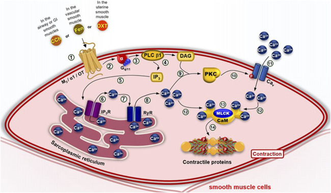 FIGURE 4