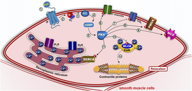FIGURE 7