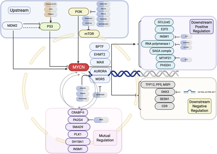 FIGURE 2