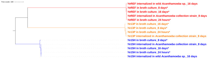 Figure 1