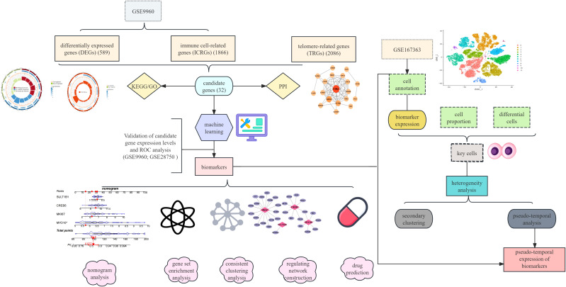 Figure 1