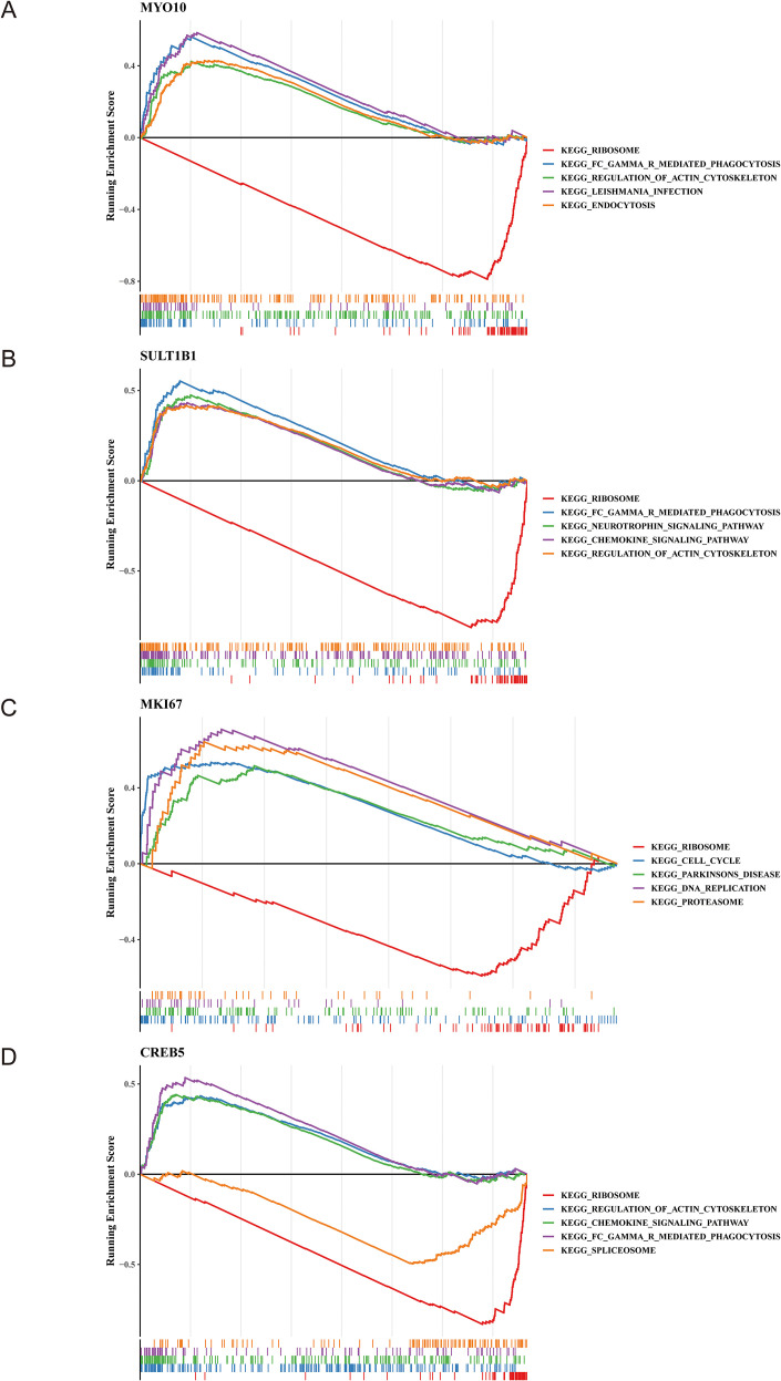 Figure 6
