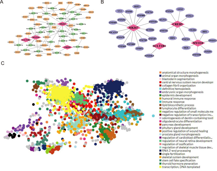 Figure 8