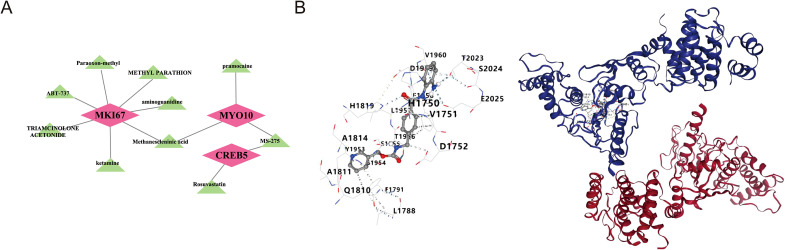 Figure 9
