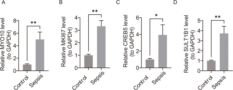 Figure 12