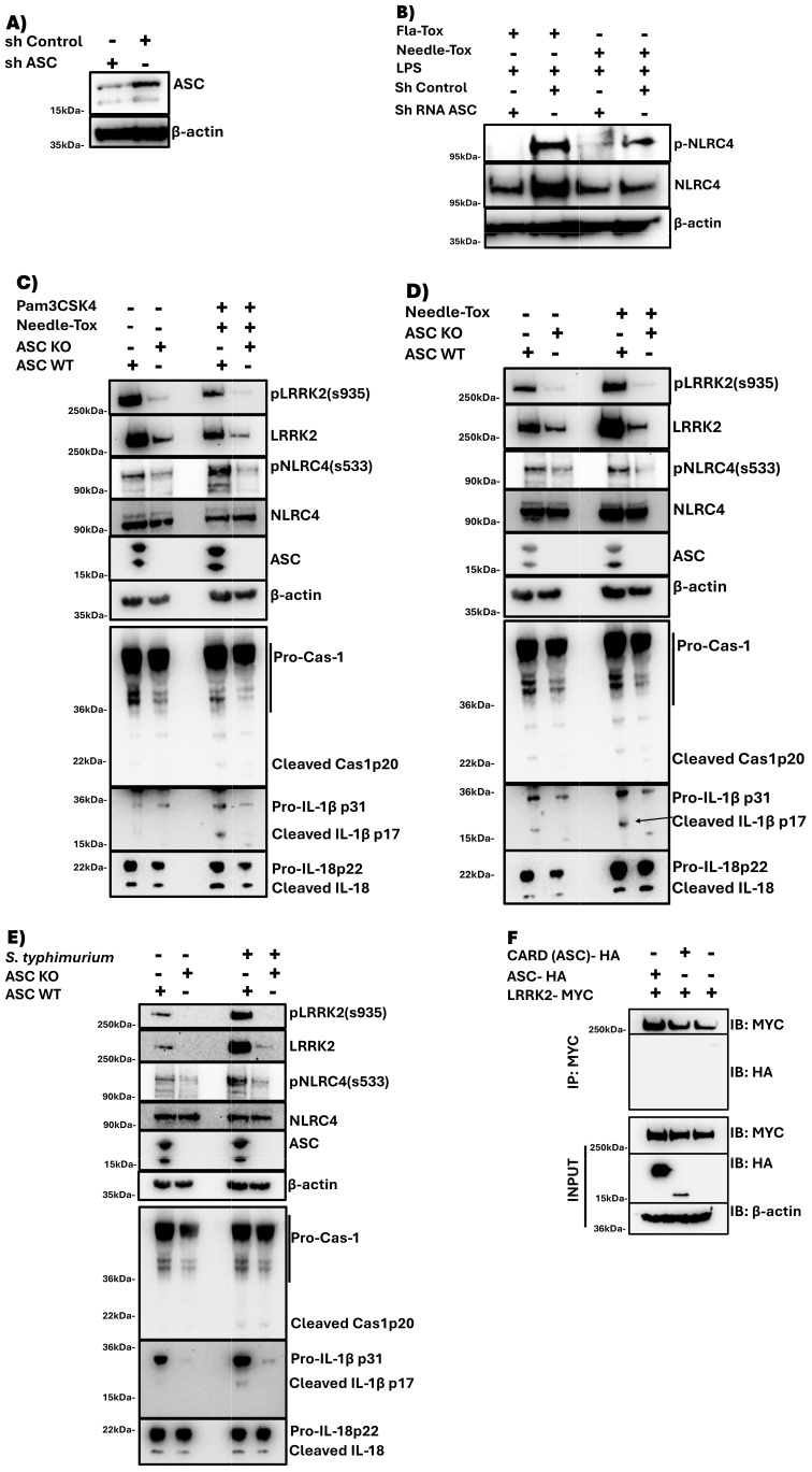 Figure 3