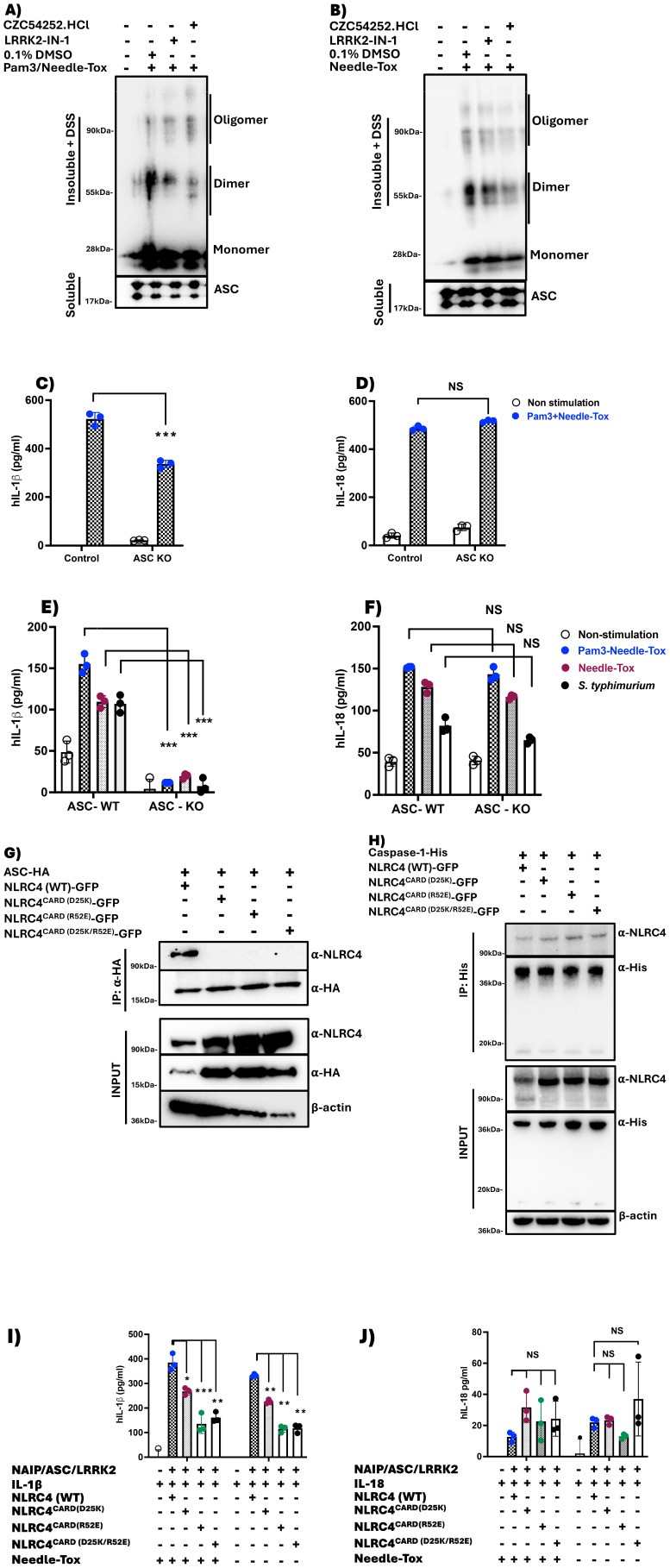 Figure 4