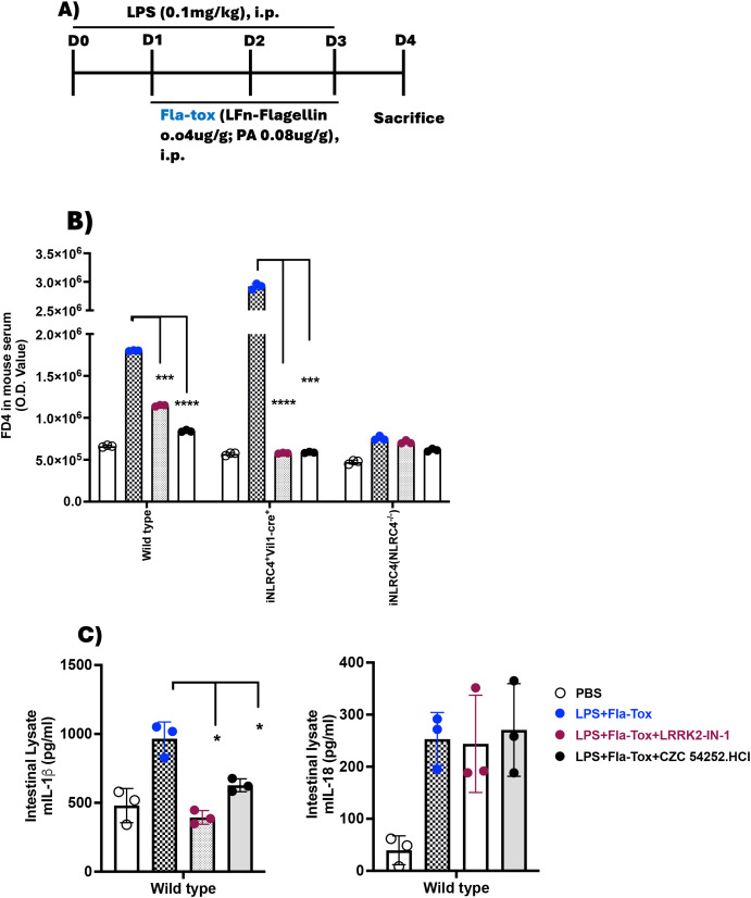 Figure 6