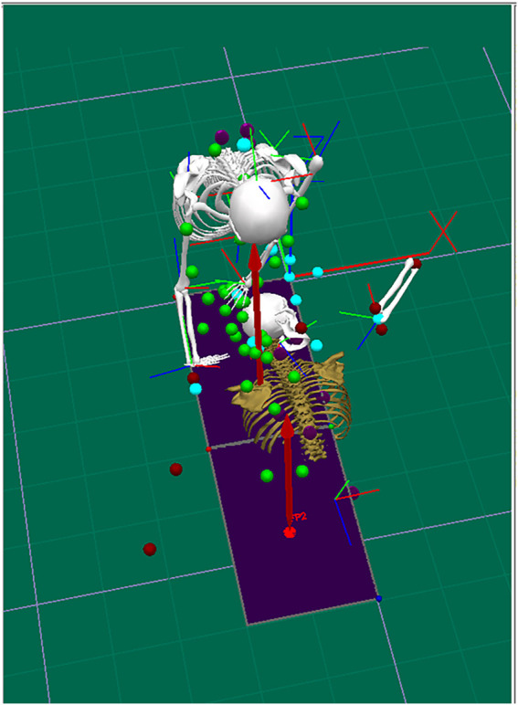 FIGURE 2