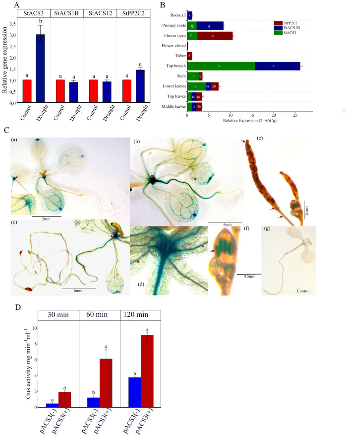 Figure 2
