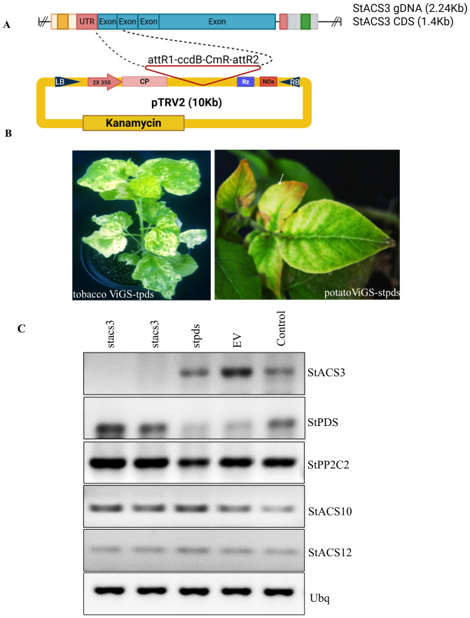 Figure 3