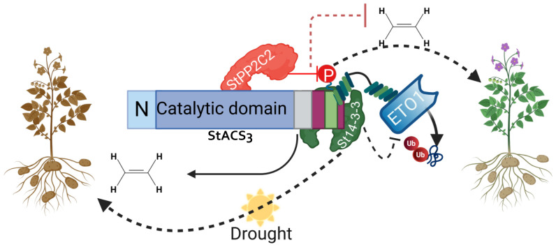 Figure 10