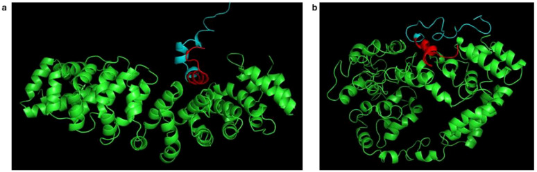 Figure 3
