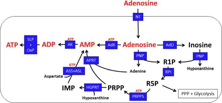 Figure 10