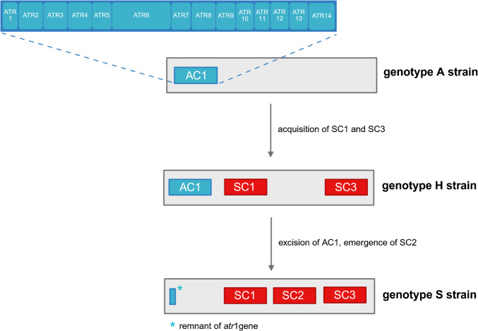 Figure 2