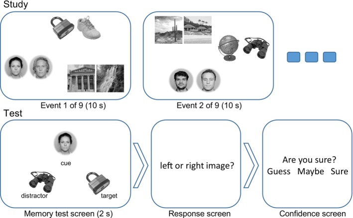 FIGURE 1