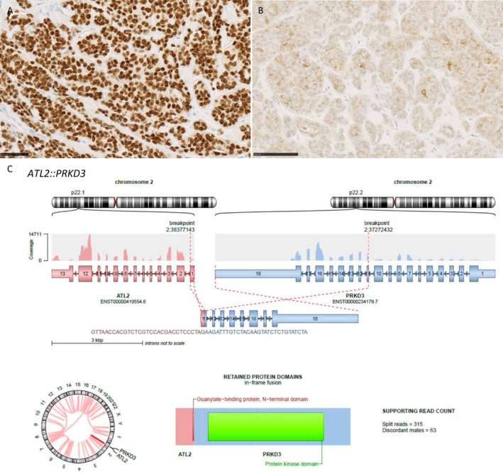 FIGURE 2