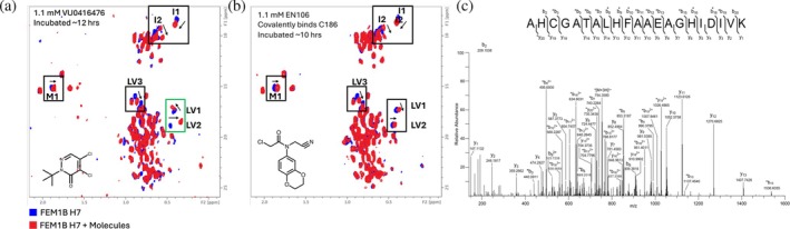 FIGURE 3