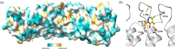 FIGURE 4