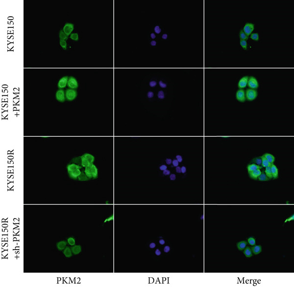 Figure 14
