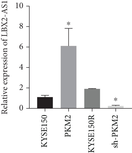 Figure 18
