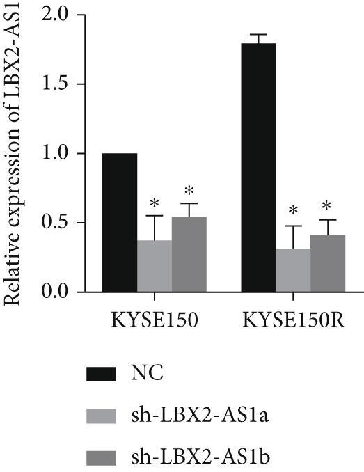 Figure 19