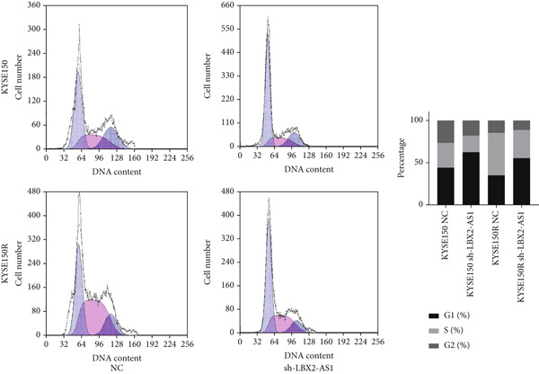 Figure 22