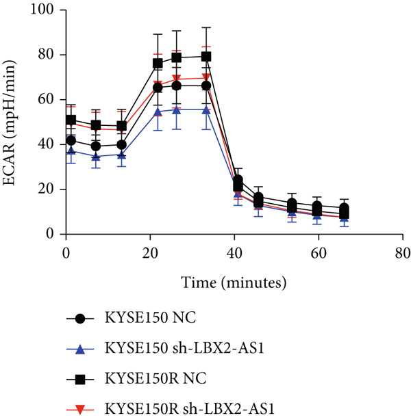 Figure 23