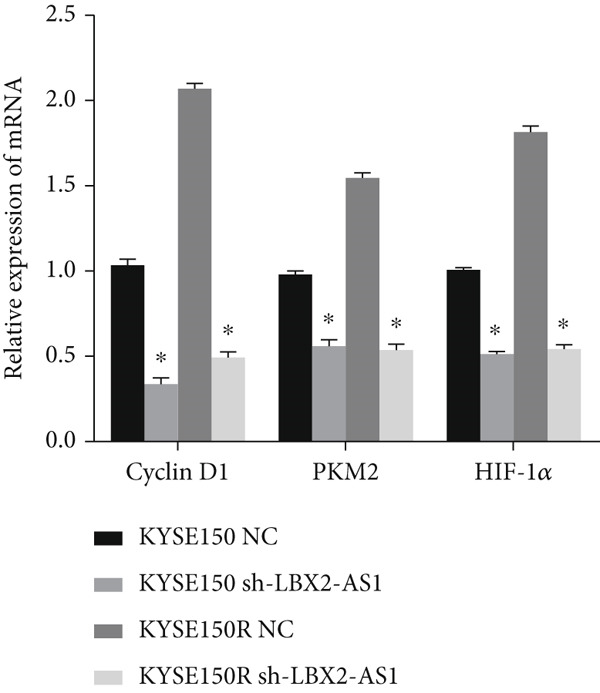 Figure 24