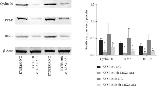 Figure 25