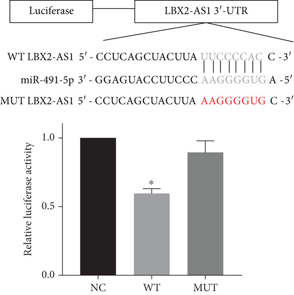 Figure 26