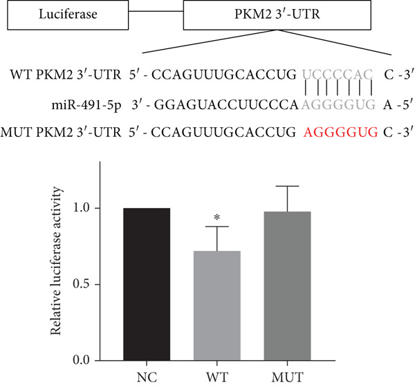 Figure 27