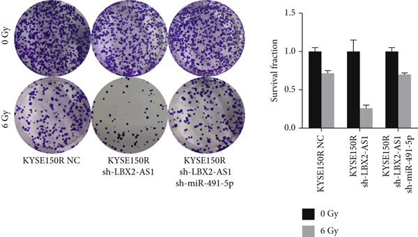 Figure 28