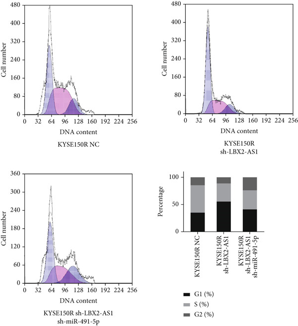 Figure 30