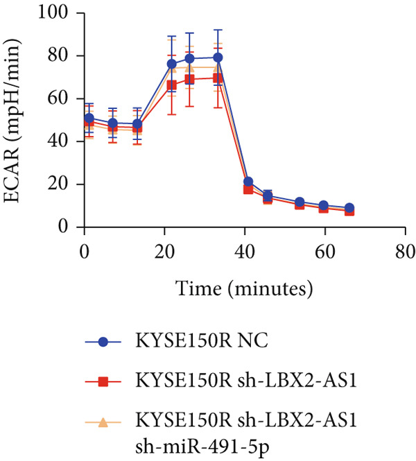 Figure 31