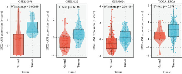 Figure 32