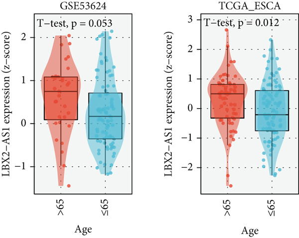 Figure 33