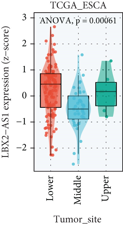 Figure 34