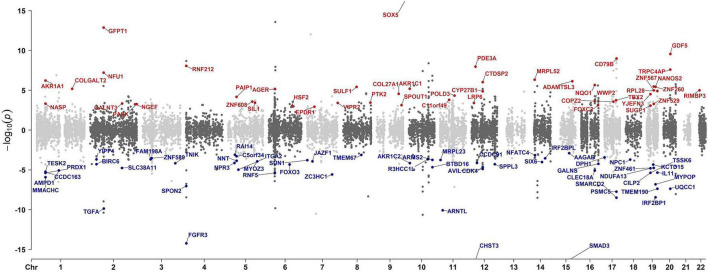 FIGURE 2